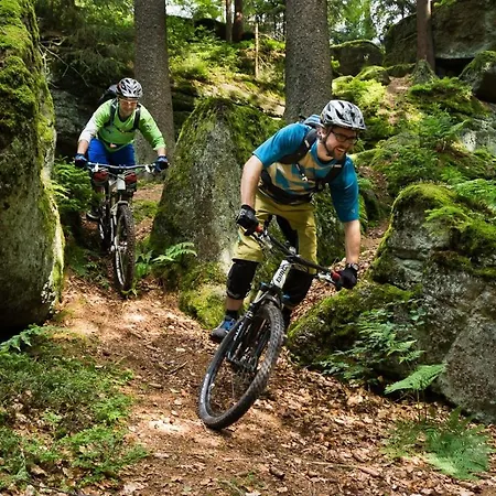 Barbara Warmensteinach